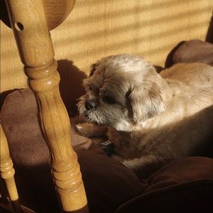 Meet your Posher, Madison